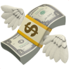 💸.png